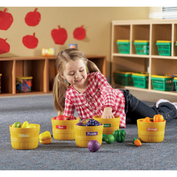 Farmers Market Color Sorting Set