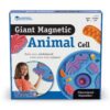 ERSLER6039.jpg Giant Magnetic Animal Cells