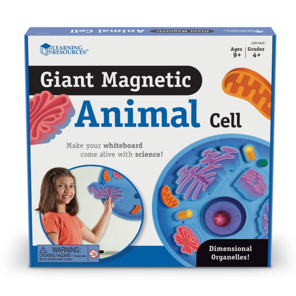 ERSLER6039.jpg Giant Magnetic Animal Cells
