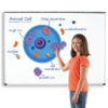 ERSLER6039_2.jpg Giant Magnetic Animal Cells