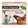 ERSLER6043.jpg Giant Magnetic Butterfly Life Cycle, Set of 9