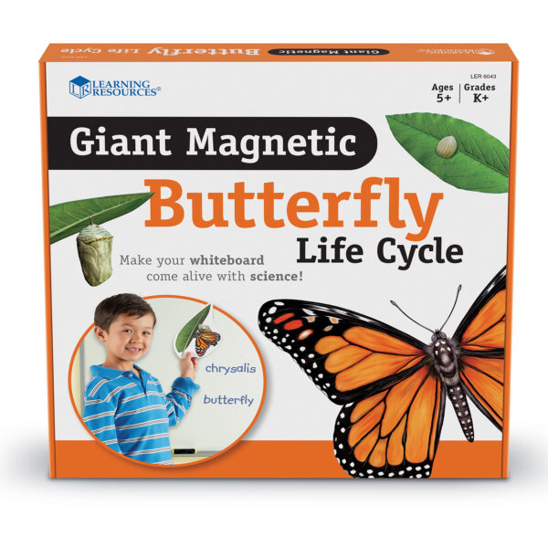 ERSLER6043.jpg Giant Magnetic Butterfly Life Cycle, Set of 9