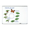 ERSLER6043_1.jpg Giant Magnetic Butterfly Life Cycle, Set of 9