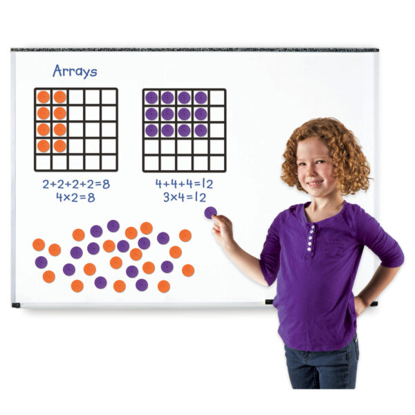 Giant Array Magnetic Demonstration Set