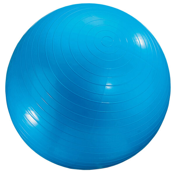 Exercise Ball, 24", Blue