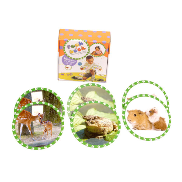 ERSMJ-810002.jpg Seek and Peek Mommy and Me Memory Match
