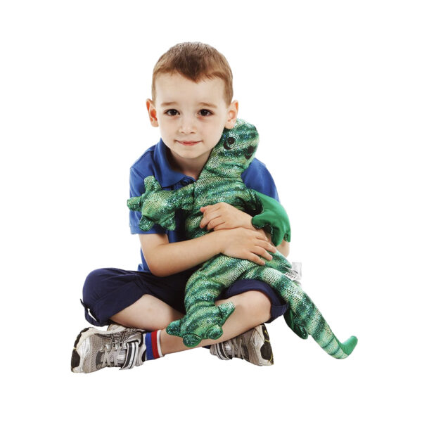 ERSMNO01852_1.jpg Weighted Lizard Green 2 kg