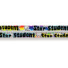 Star Student Motivational Pencil, Pack of 144