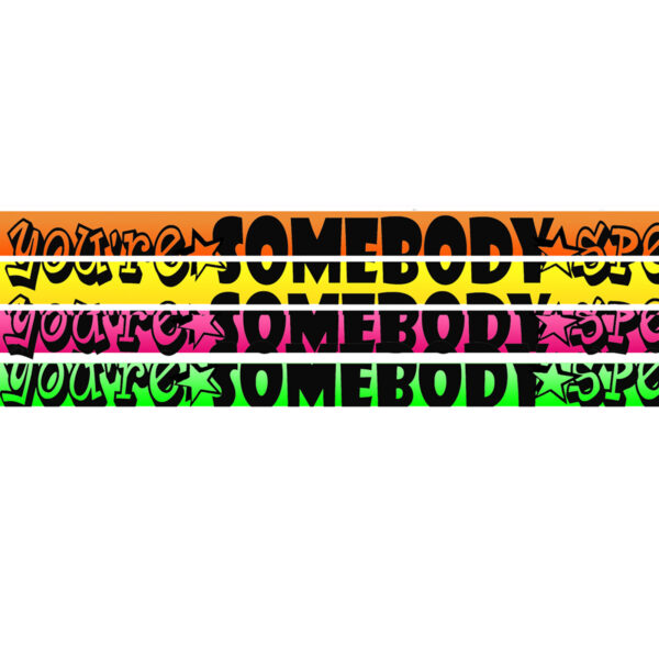 You're Somebody Special Motivational Pencil, 12 Per Pack, 12 Packs