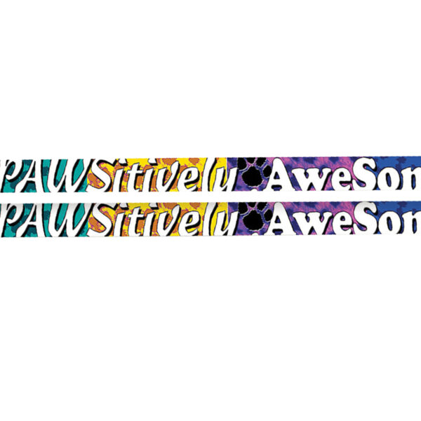 Pawsitively Awesome Motivational Pencil, Pack of 144