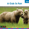 ERSNL-6833_2.jpg Decodable Readers Grade 1 Short Vowels, Consonant Blends, and Digraphs, 24 Books
