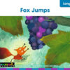 Decodable Readers Grade 1 Long Vowels, 24 Books