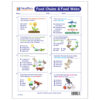 Food Chains & Food Webs Learning Center