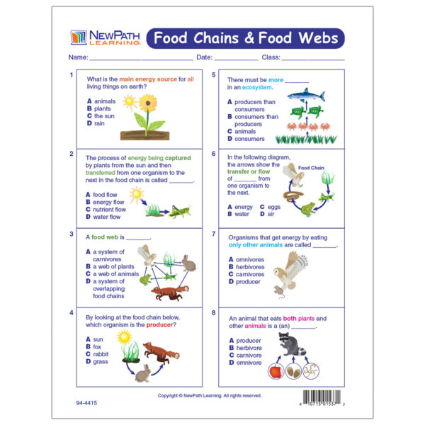 Food Chains & Food Webs Learning Center