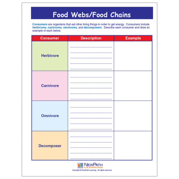 Food Chains & Food Webs Learning Center