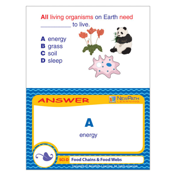 Food Chains & Food Webs Learning Center