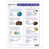 Cycles of Life & Biomes Learning Center