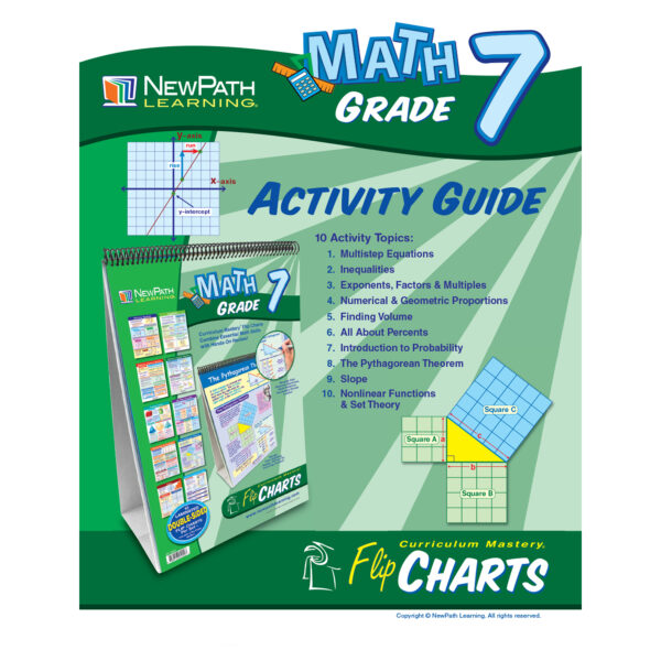 Math Skills Curriculum Mastery Flip Chart, 10 Pages, Grade 7