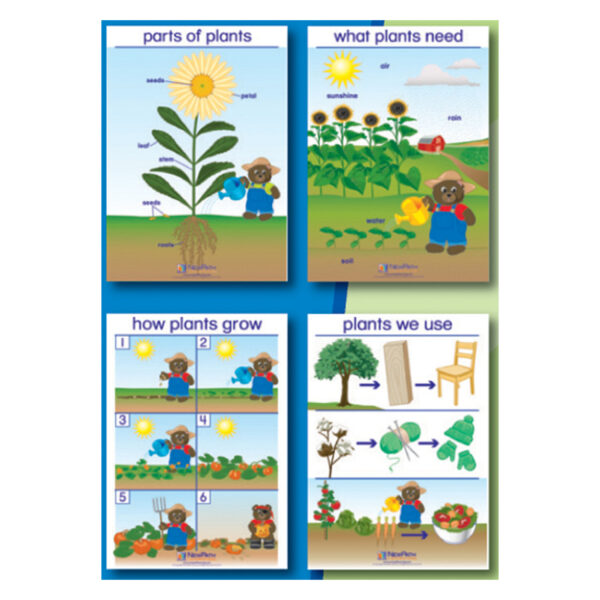 Early Childhood Science Readiness Flip Charts, All About Plants