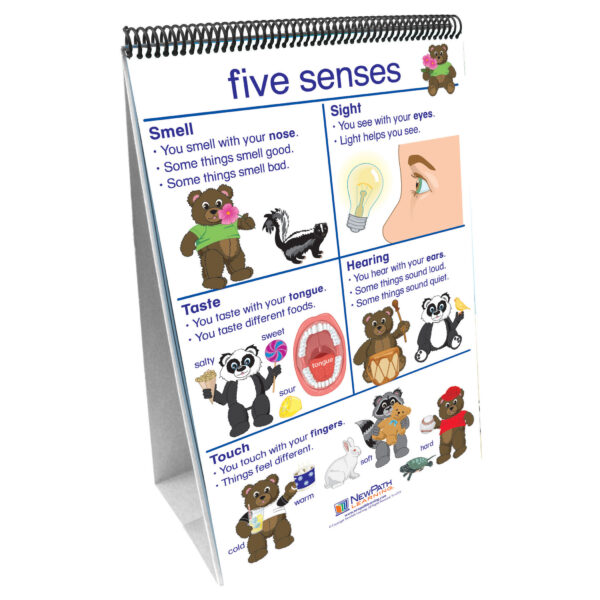 ERSNP-340027.jpg Early Childhood Science Readiness Flip Chart, All About Me
