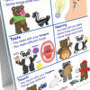 ERSNP-340027_1-2.jpg Early Childhood Science Readiness Flip Chart, All About Me