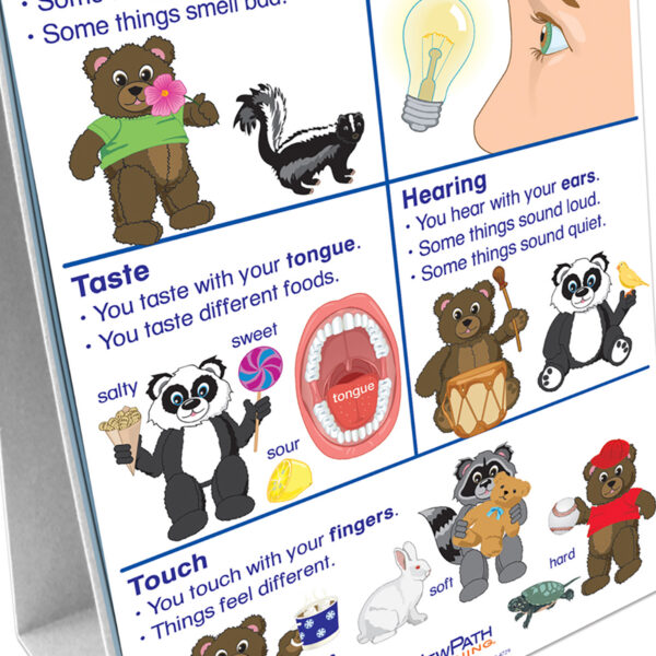 ERSNP-340027_1-2.jpg Early Childhood Science Readiness Flip Chart, All About Me