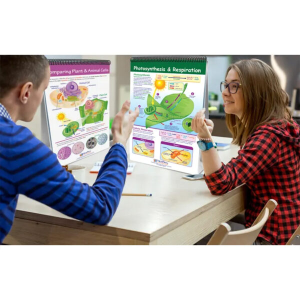 ERSNP-346001_1.jpg Science Skills Curriculum Mastery Flip Chart, Grade 6