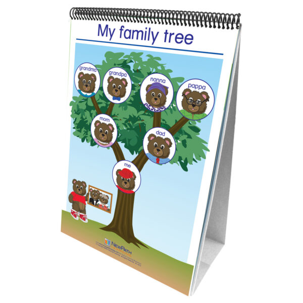 Social Studies Readiness Flip Chart, Set of All 5