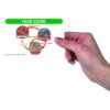 Science Vocabulary Builder Flash Card Set, Grades 1-2