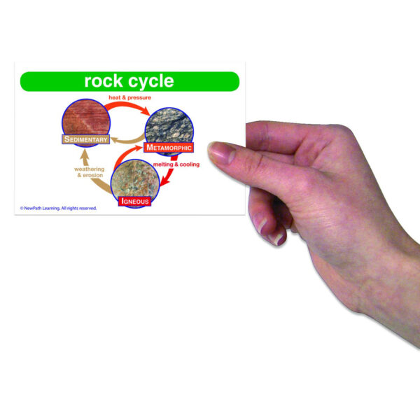 Science Vocabulary Builder Flash Card Set, Grades 1-2