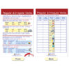 Parts of Speech Bulletin Board Activity Chart Set