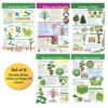 All About Plants Bulletin Board Charts, Set of 5
