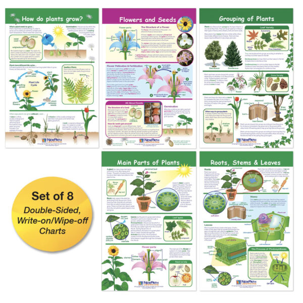 All About Plants Bulletin Board Charts, Set of 5