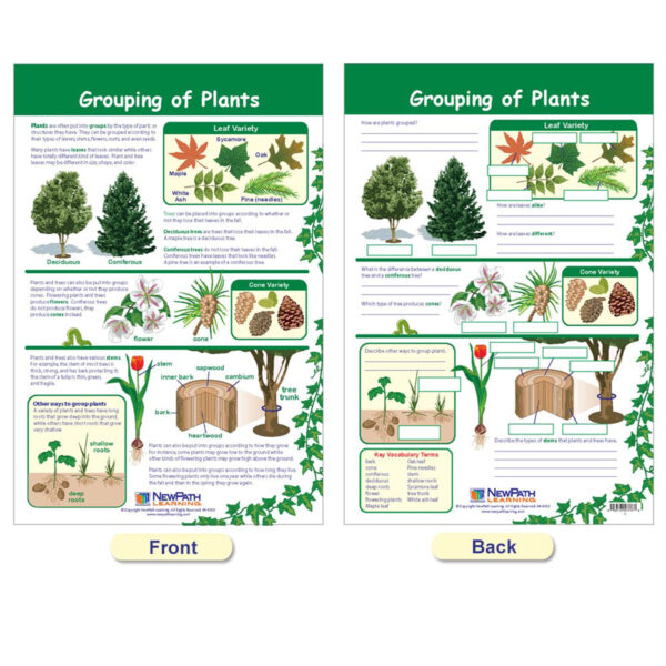All About Plants Bulletin Board Charts, Set of 5