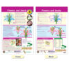All About Plants Bulletin Board Charts, Set of 5