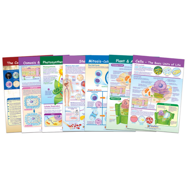 94-7001 Cells Bulletin Board Chart Set, Grades 3-5