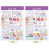 ERSNP-947001_1.jpg Cells Bulletin Board Chart Set, Grades 3-5