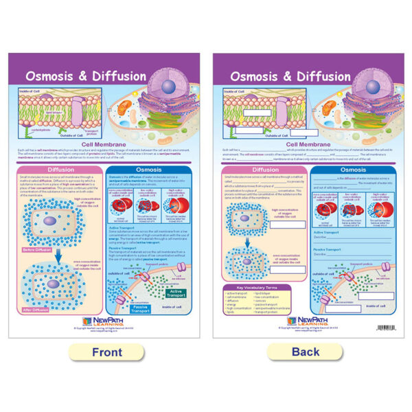 ERSNP-947001_2.jpg Cells Bulletin Board Chart Set, Grades 3-5