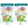 ERSNP-947001_4.jpg Cells Bulletin Board Chart Set, Grades 3-5