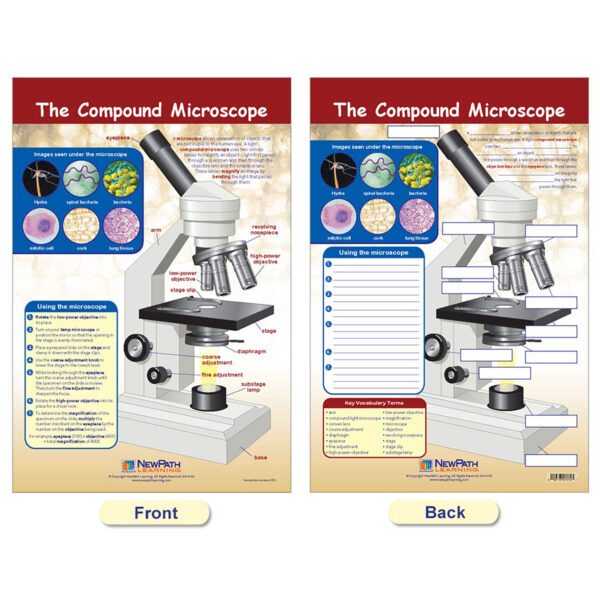 ERSNP-947001_5.jpg Cells Bulletin Board Chart Set, Grades 3-5