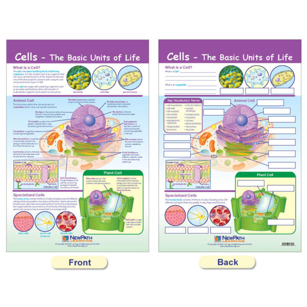 ERSNP-947001_6.jpg Cells Bulletin Board Chart Set, Grades 3-5