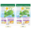 ERSNP-947001_8.jpg Cells Bulletin Board Chart Set, Grades 3-5