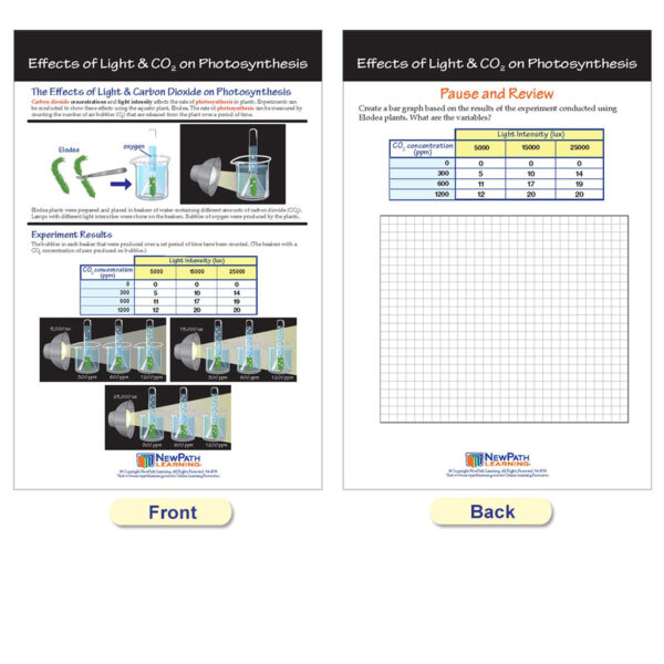 Version 1.0.0 Photosynthesis Bulletin Board Chart Set, Grades 3-5
