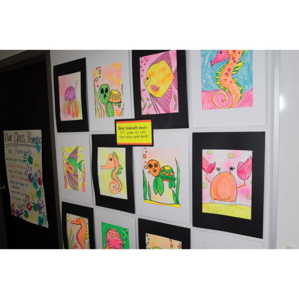 Pre-Cut Mat Frames, Black, 12" x 18", 12 Frames