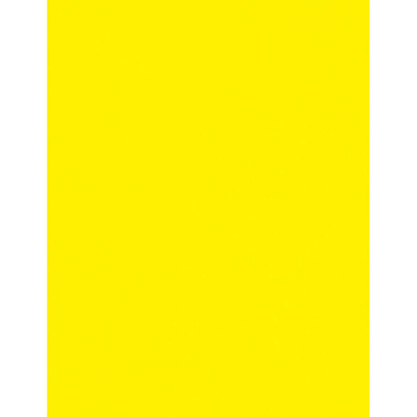 ERSPAC101172-2_1.jpg Card Stock, Lemon Yellow, 8-1-2" x 11", 100 Sheets Per Pack, 2 Packs