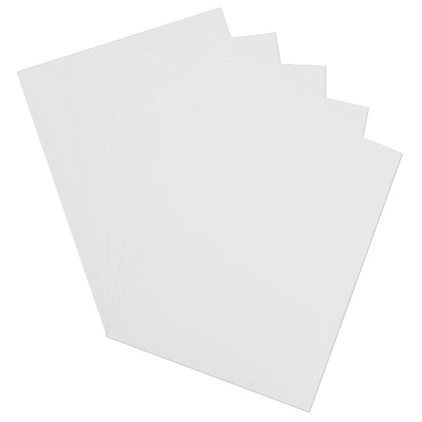 ERSPAC101188-2_3.jpg Card Stock, Classic White, 8-1-2" x 11", 100 Sheets Per Pack, 2 Packs