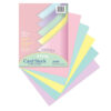 ERSPAC101315-2_1.jpg Pastel Card Stock, 5 Assorted Colors, 8-1-2" x 11", 100 Sheets Per Pack, 2 Packs