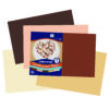 Shades of Me Construction Paper, Heavyweight, 5 Assorted Skin Tone Colors, 12" x 18", 50 Sheets Per Pack, 2 Packs