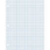 Graphing Paper, White, 2-sided, 1-4" Quadrille Ruled 8-1-2" x 11", 500 Sheets