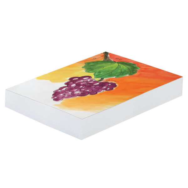 ERSPAC4835.jpg Mixed Media Art Paper, Heavyweight, 18" x 24", 500 Sheets